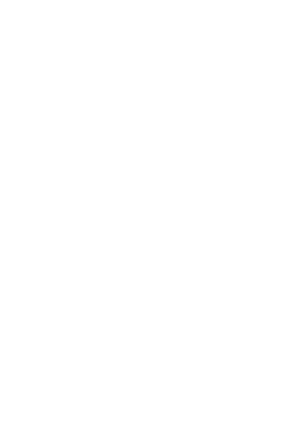 New York University