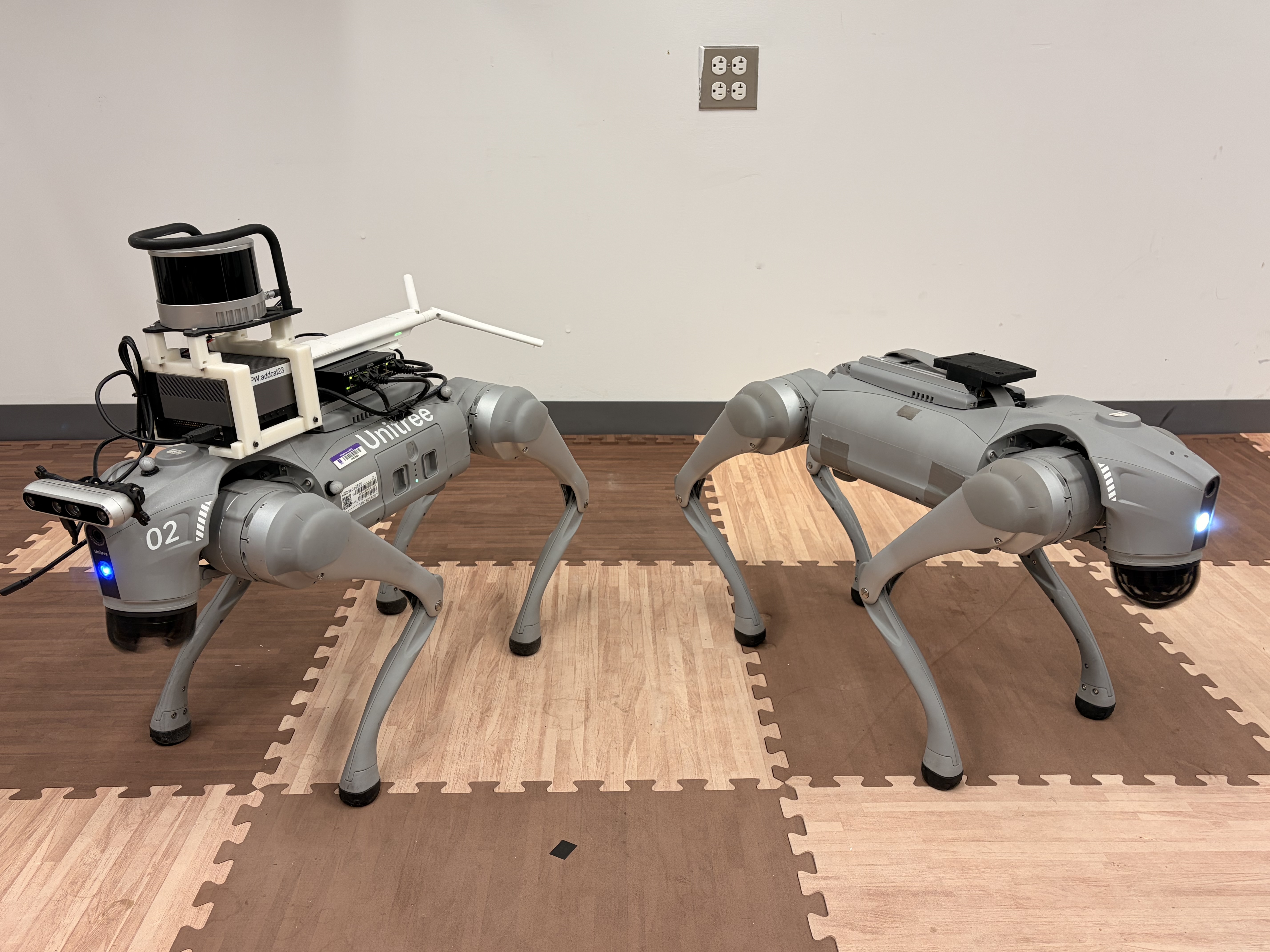 Unitree Go2 Quadruped Robot